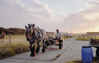 Een dag uit het leven van de paardenvissers uit Koksijde